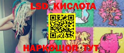 гашик Тверь