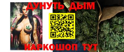гашик Тверь