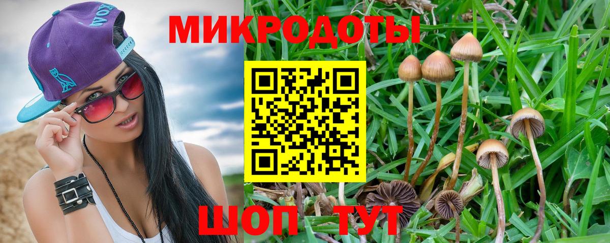 Галлюциногенные грибы ЛСД  Галлюциногенные грибы Psilocybine cubensis  Вход с VPN  Обнинск 