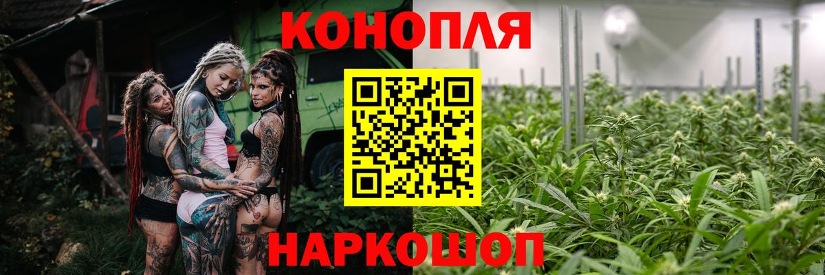 Каннабис сатива Обнинск